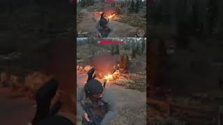 Days gone - Burn and run horde killer