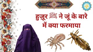 हुज़ूर ﷺ ने जूं के बारे में क्या फरमाया | Islam video |   ju padne ke masail | juen padna kaisa hai