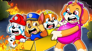 Challenge Brewing Cute Baby & Brewing Cute Pregnant - Paw Patrol Ultimate Rescue - Rainbow 3