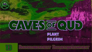 Caves of Qud -- Episode 13: Dismemberment Dismembershment -- Plant Pilgrim