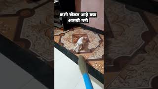 कोणा कोणाच्या घरी असे असते #latest #like