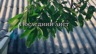 Последний лист - фильм по рассказу О.Генри