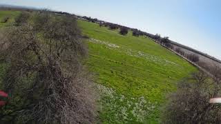 Pasture and Orchard flying in DJI FPV drone