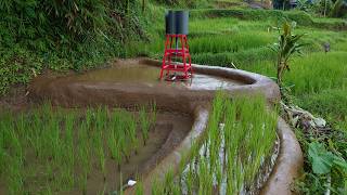 New model - Free energy irrigation system for rice fields with Vertical axis windmill Water pump