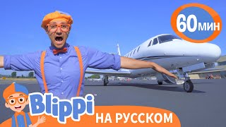 Песня про Самолеты | Обучающие песни для детей | Blippi Russian