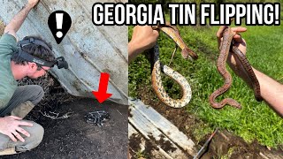 All Snakes, No Brakes: Tin Flipping Road Trip Across the Southeast!