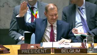 UN Security Council votes for "lasting ceasefire" in Libya (11 Feb. 20)