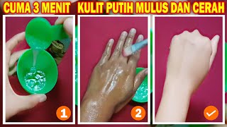 diy Cara Memutihkan Kulit Dengan Cepat dan Merawat Kulit Secara Alami