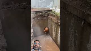 Deep hole irrigation