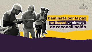 🚶‍♂️Caminata por la reconciliación y la Paz en #Ibagué Tolima