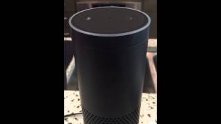 Preliminary Test of the Amazon Echo