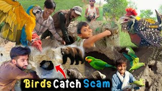 Catching Parrots Exposed 😱 Hamad | Behind The Scene Parrot Pkar Liye| Birds Trap | Wild Bird Catch