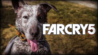 Спас собаку - Far Cry 5 #2