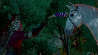 UNICORN & GOLDEN FISH riddle solution - The Witcher 3