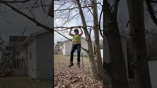 Working out at work🤣😜 #awesome #youtubeshorts #workout #treelife