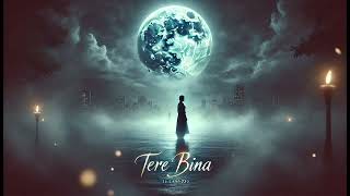 Tere Bina - Heartbreaking Hindi Love Song | Emotional Track on Lost Love