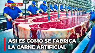 Así Se Fabrica la Carne Artificial en Nuestras Mesas: Es Segura Para Nosotros? | TheMXFam