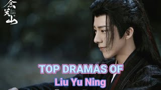 TOP 13 BEST LIU YU NING DRAMA LIST OF ALL TIME | DRAMA LIST OF LIU YU NING #LIUYUNING #XIAONING #刘宇宁