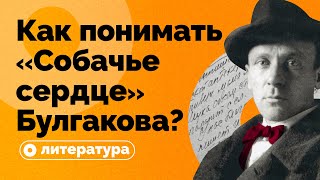 Как понимать «Собачье сердце» Булгакова?