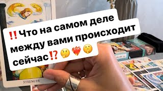 ‼️Что на самом деле между вами происходит⁉️❤️‍🔥🤫🕊️