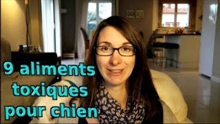 9 Aliments toxiques pour chien