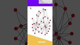 complex networks