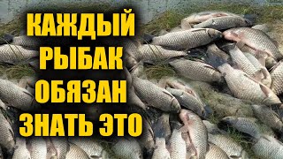 Вот от чего бешеный клёв у всей рыбы! Прикормка, насадка и активатор клёва