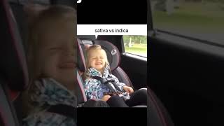 Indica vs Sativa