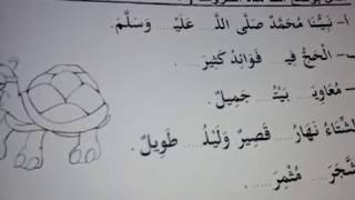 التاء المربوطة والهاء المربوطة