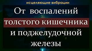 Исцеляющая музыка для здоровья толстого кишечника и поджелудочной железы