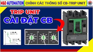 ♻️ Chỉnh Các Thông Số Bảo Vệ Trên CB  ⏩ Trip Unit Circuit Breaker Scheneider