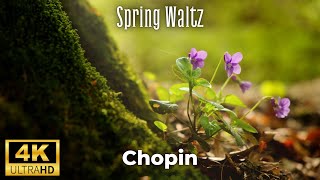 Chopin - Spring Waltz |Шопен - Весенний вальс (Mariage d'Amour) - 4K