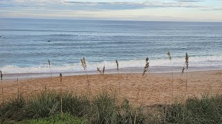 Purging at Flagler Beach, Florida @TimothyWard