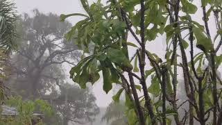 Barulhos relaxantes. Chuva.