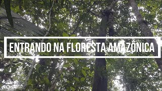 Viagem à fantástica Amazônia! Parte 2 (Entrando na floresta)!!!