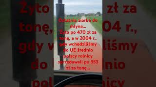 #shorts Jedziemy z żytem do młyna... #viral #polska