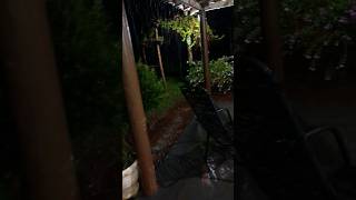 #noite de chuva aqui na roça