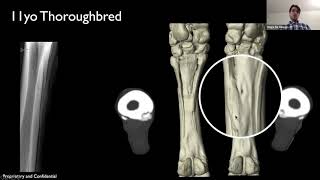 New Bone Formation on Splint Bones