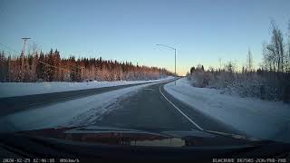 First Moose Encounter for a Teen Driver