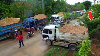 Full Project Bulldozer D20P & Truck Filling Up Land into Lot 20x50m