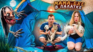 MAMA.EXE В НАШЕЙ ТРЁХКОМНАТНОЙ ПАЛАТКЕ С КОТАМИ И СОБАКОЙ | НАШЛИ ДОМ ВЕДЬМЫ