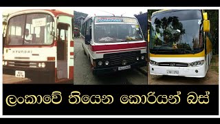 Korean buses in Sri Lanka | ලංකාවෙ තියෙන කොරියන් බස් වර්ග