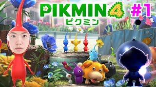 【ピクミン4】新作がキター！マスオ、救助活動開始します！！#1