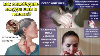 Шея НЕ ПРОПУСКАЕТ кровь в голову, шумит в ушах? Освободите верхнюю порцию позвоночной артерии