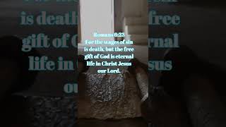 Romans 6:23 For the wages of sin is death, but the free gift of God is eternal life i.....