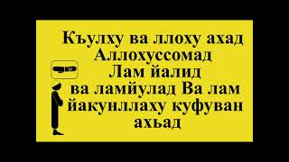 Уроки намаза для начинающих мужчин (namaz) обучающие видео ЗУХР СУННАХ 4-ракат