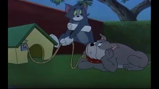 Tom & jerry : dog fight