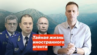 Тайная жизнь иностранного агента