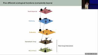 CCS22: Assessing the multifunctionality of species within ecological communities - Anna Traveset