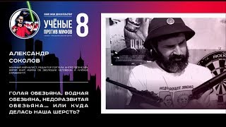 Куда делась наша шерсть? Александр Соколов. Ученые против мифов 8-4